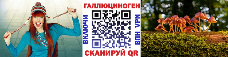 Псилоцибиновые грибы Cubensis hydra зеркало Райчихинск где купить наркоту